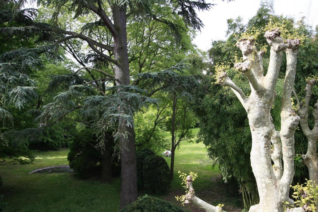 L'Oree Du Chateau Roussillon  Eksteriør bilde